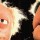 LE MUPPET SHOW : Le muppetissime show de tous les shows