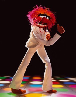 Muppet-show-serie-tv-2-250px